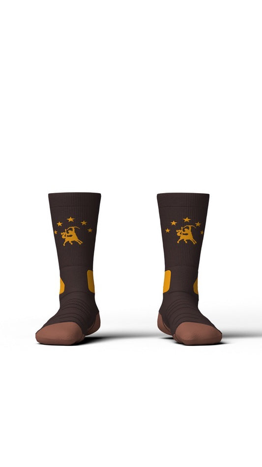 Brown and Gold Socks