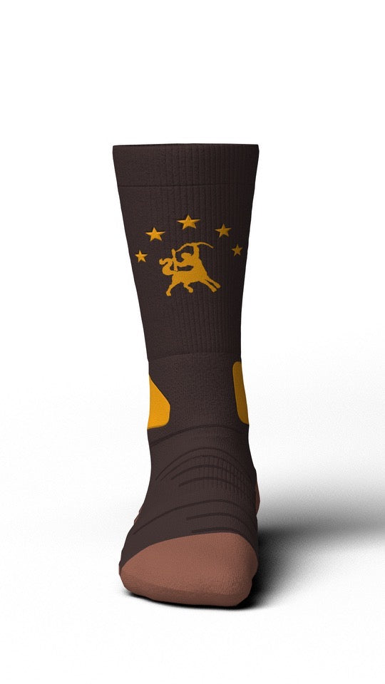 Brown and Gold Socks